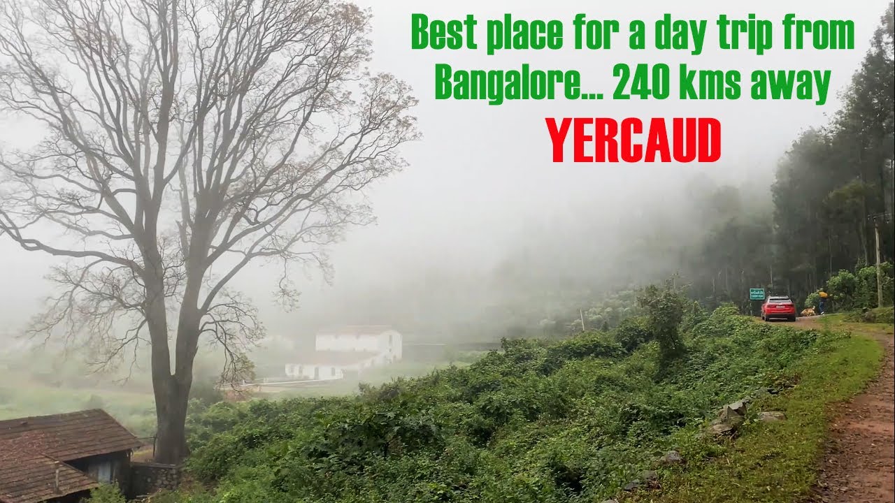 Day trip from Bangalore to Yercaud | Beautiful Drive and Weather to match
