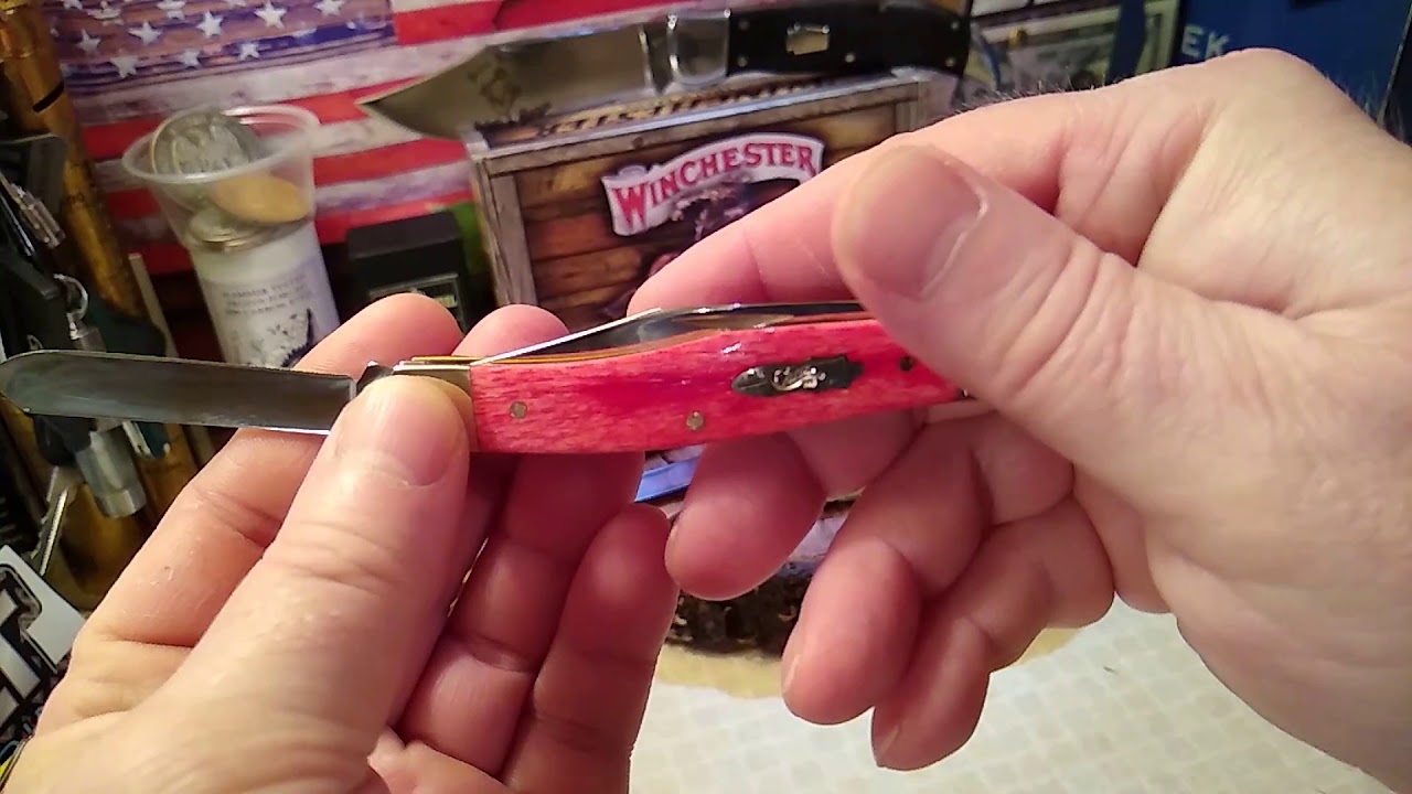 2019 Case Mini-Moose (Smooth Dark Red Bone)
