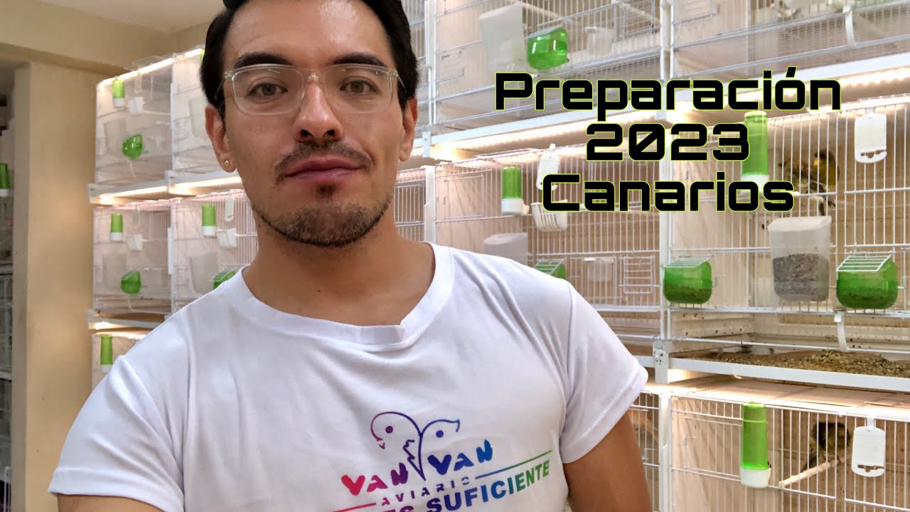 Preparación para la Temporada de Cría 2023. Canarios