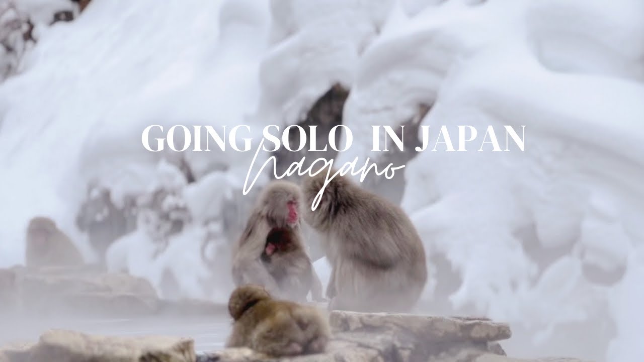 Life in Japan : Exploring NAGANO | Jigokudani Snow Monkey Park | Japanese Macaque | Winter