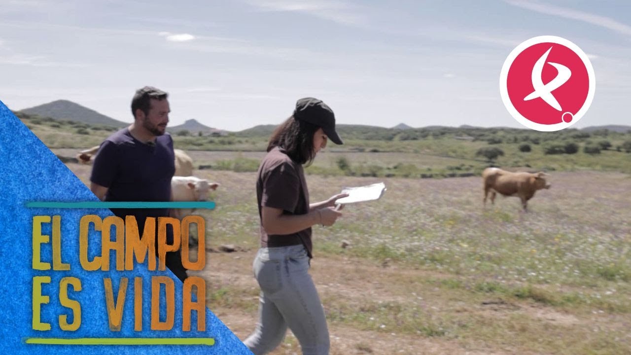 María hace balance de los resultados de la paridera | El campo es vida