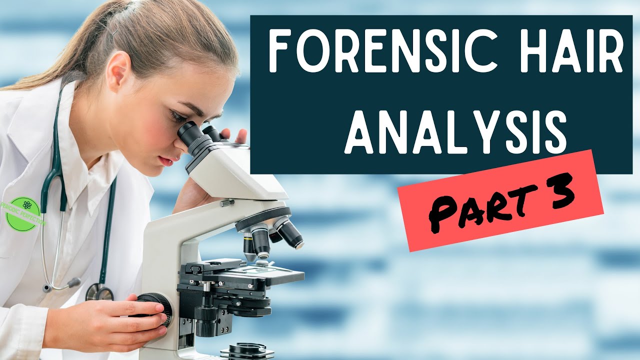 Forensic Hair Analysis Part 3
