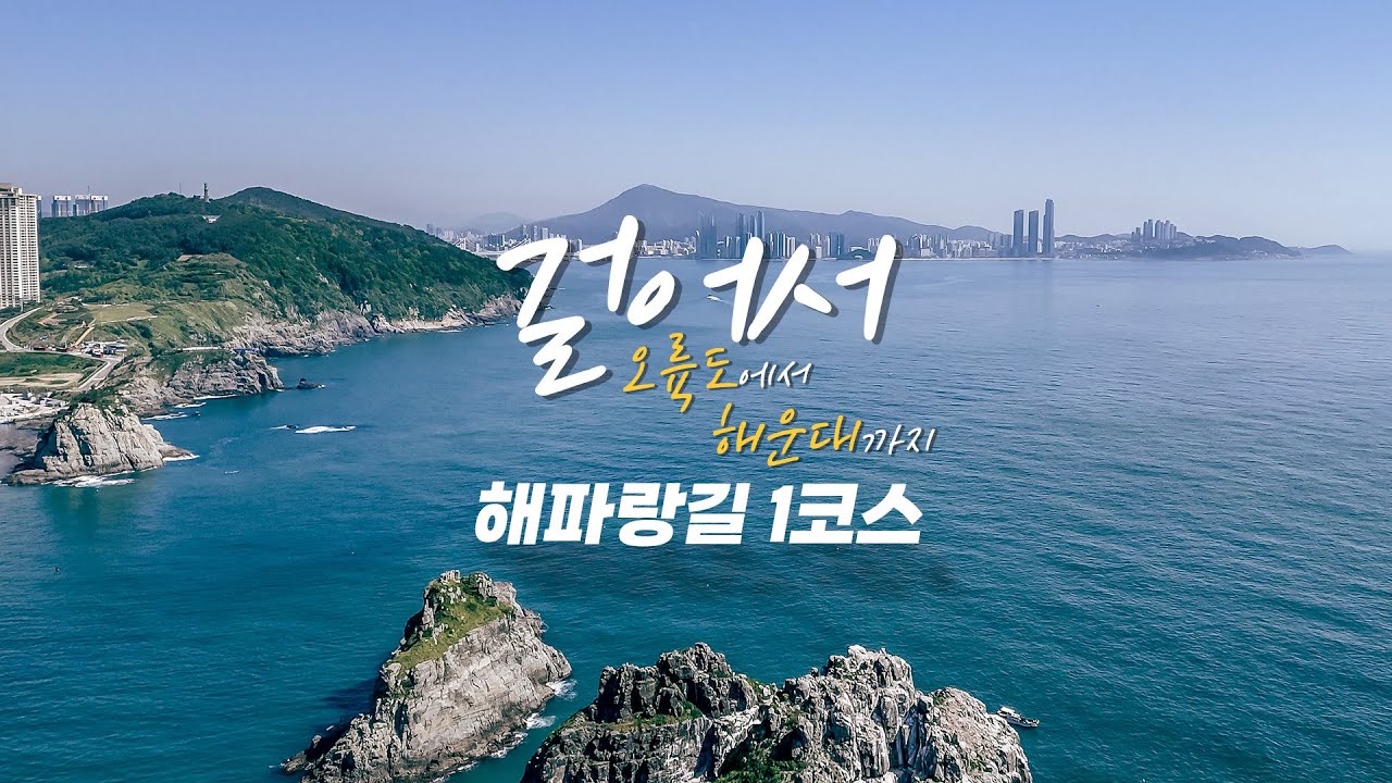 행복한 17km 트레킹 | 해파랑길 1코스