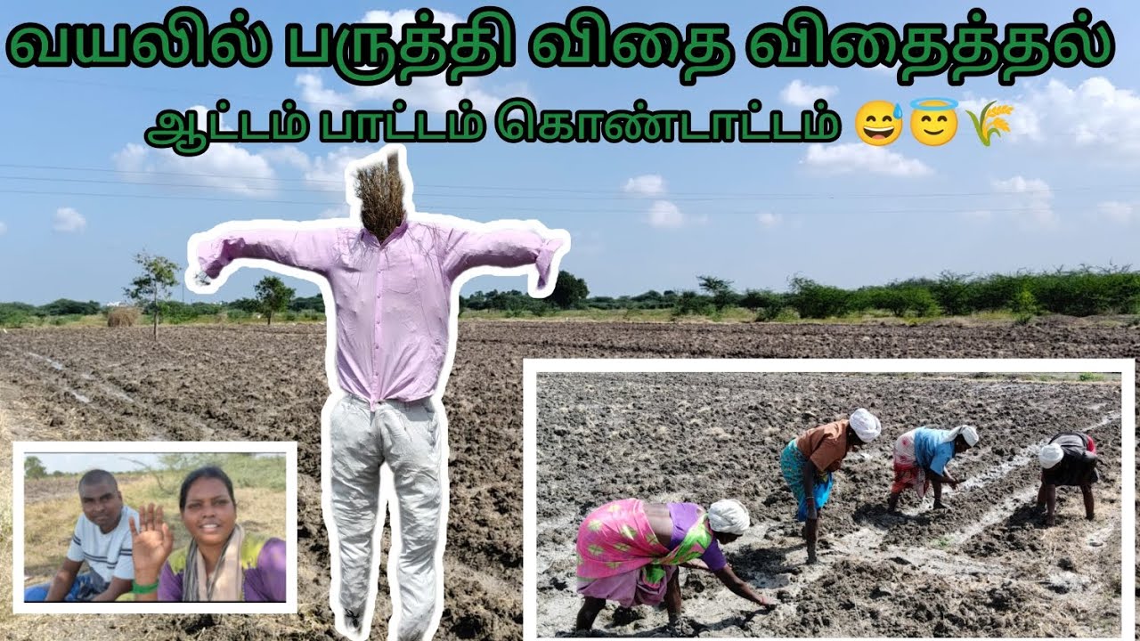 வயலில் பருத்தி விதை விதைக்க போறோம்...🌾💫💥🥳#villagevlog #love #enjoy PrabuNandhu ♥️ 