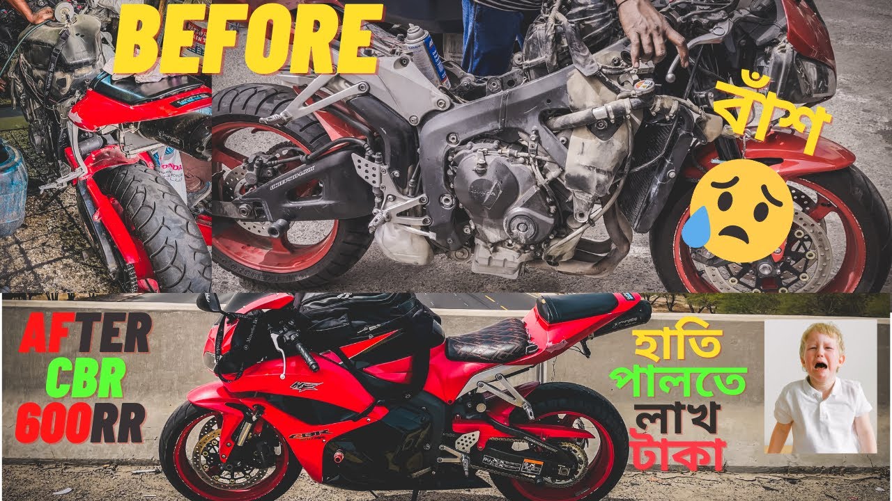 হাতি পালতে লাখ টাকা, CBR600RR Service করে মাথায় হাত 🤦🏻‍♂️। Sabbir Rehan | Vlog 9