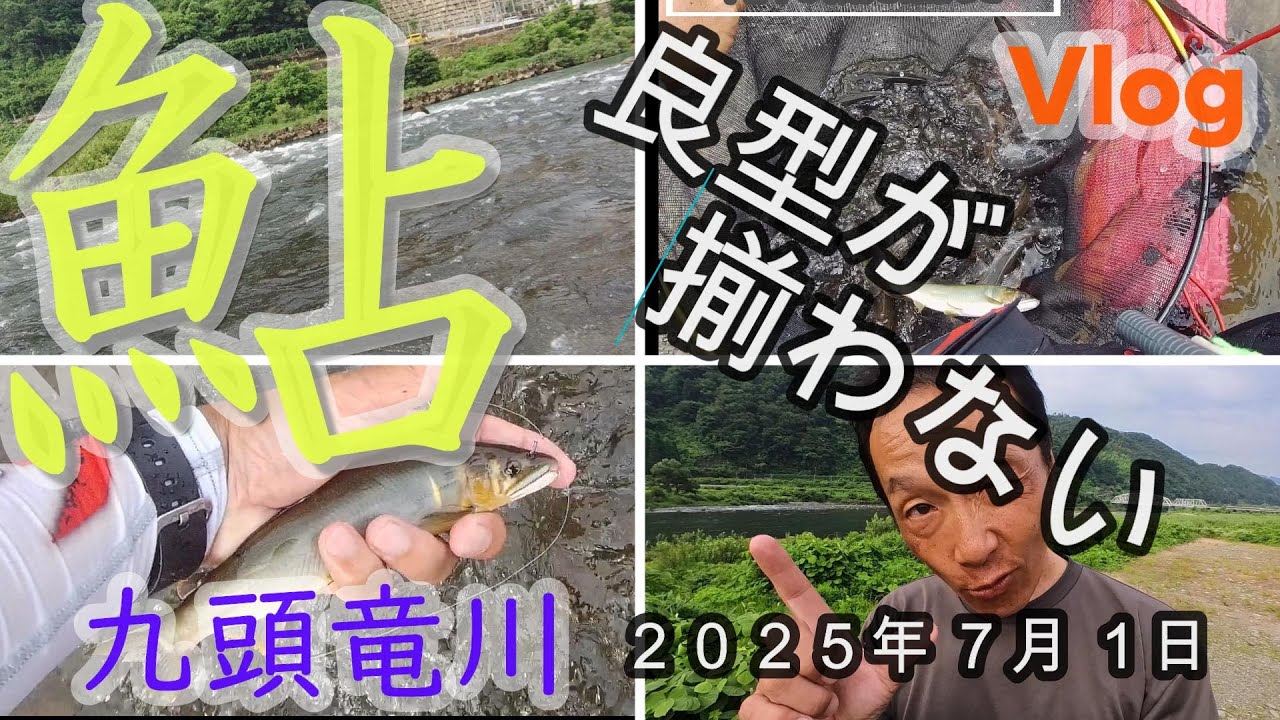 【九頭竜川】良型が揃わない　2025.7.1