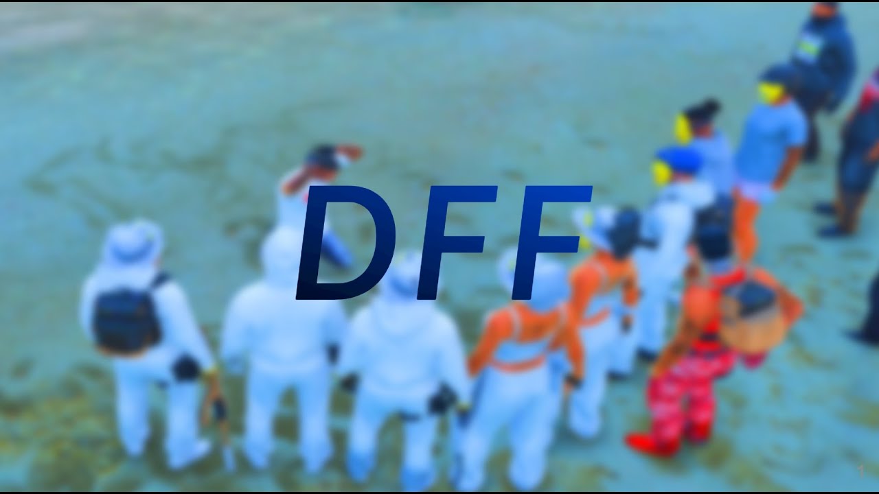 DFF på tur | RP & PVP