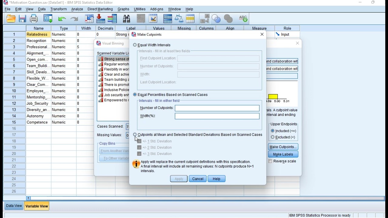 SPSS   How to Perform Visual Binning in SPSS