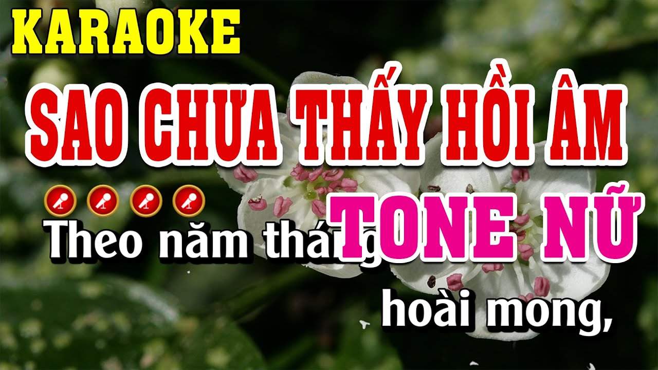 Sao Chưa Thấy Hồi Âm Karaoke Tone Nữ Dễ Hát | Đình Long Karaoke