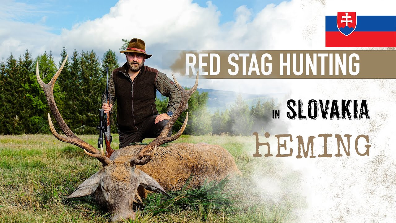 Red Stag hunting in SLOVAKIA in the rut | Hunting the King of the Forest 📯🌿🇸🇰
