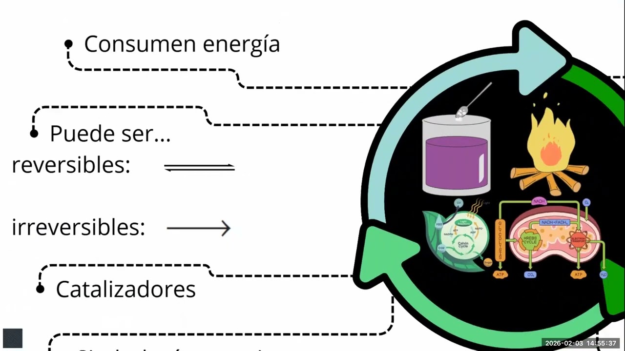 Unidad 6  Tipos de reacciones químicas