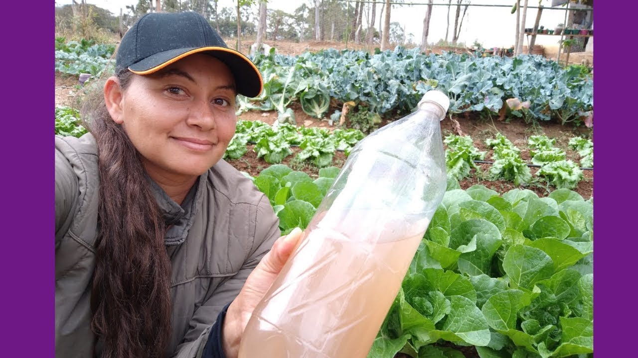 Adubo Líquido ORGÂNICO , Para HORTA E FLORES