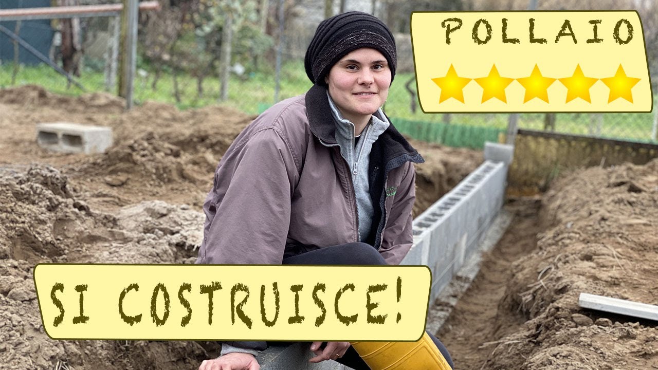 POLLAIO a 5 stelle - inizio la costruzione