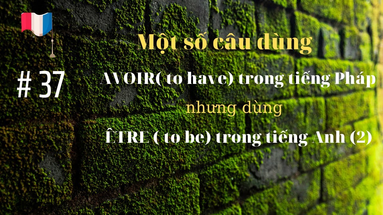 # 37- Một số câu dùng AVOIR ( to have) trong tiếng Pháp nhưng dùng ÊTRE ( to be) trong tiếng Anh (2)