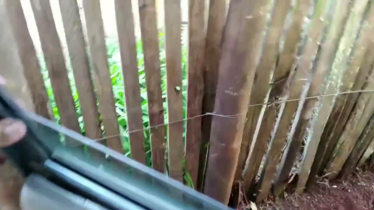 ESCORT ZETEC NÃO LIGA!! PODE SER UM CONECTOR