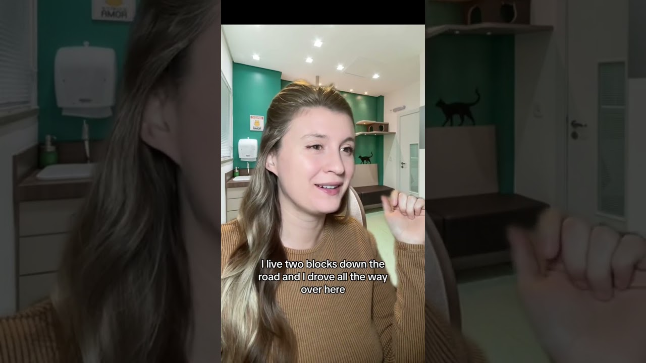 Poor Miss Frizzle 😅Oh goodness. 🙄 #greenscreen #vettechlife #vet #vetclinic #veterinarian