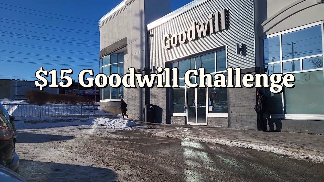 Goodwill Challenge $15 Spend or Less, What Did I Find Today to Flip for a Profit?