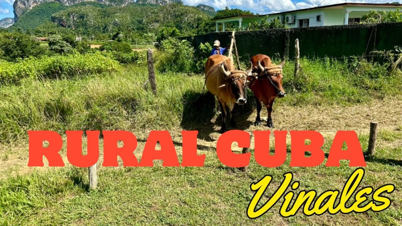 Vinales, Cuba (October 2024)