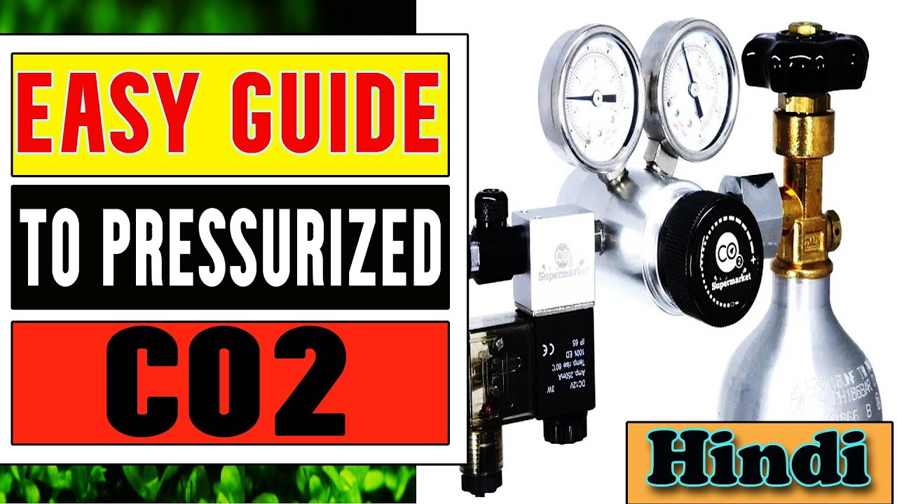 HOW TO set up a CO2 kit | HINDI