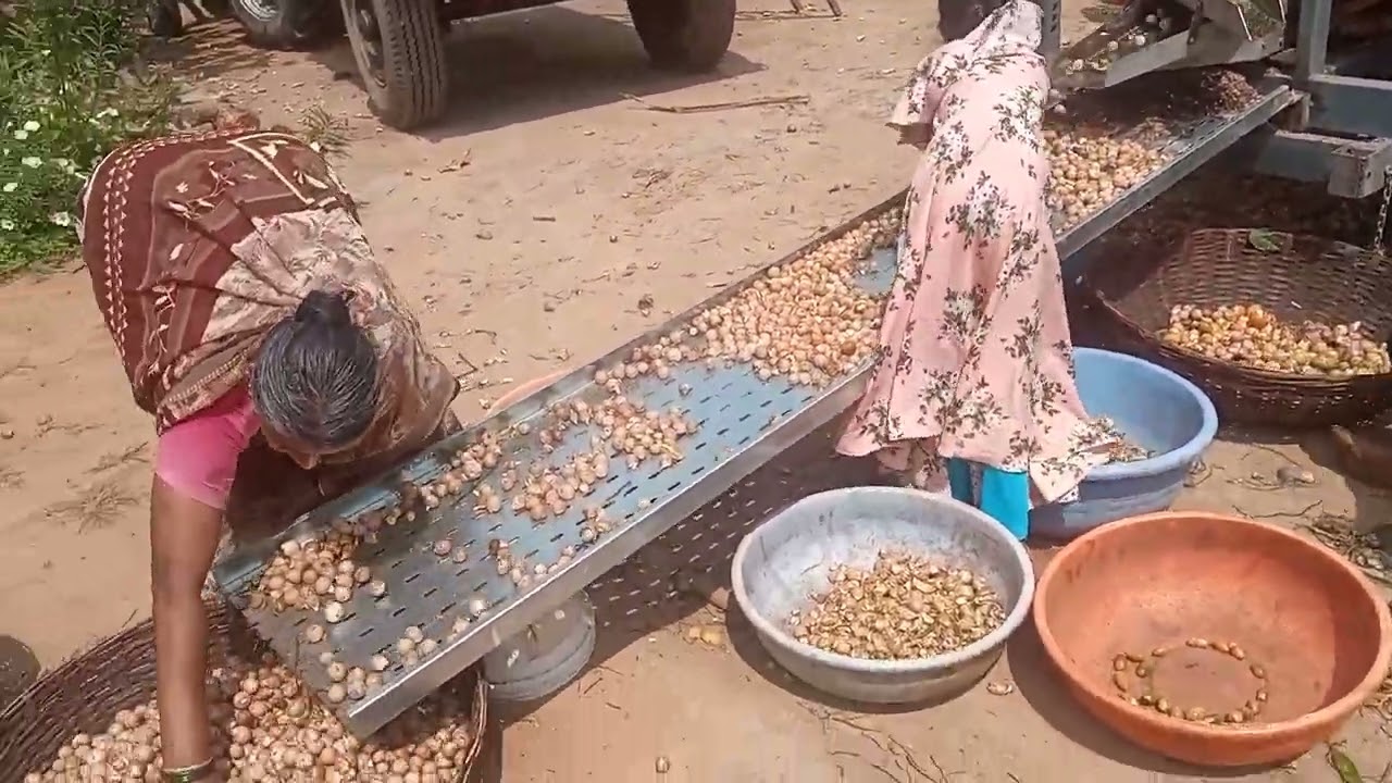 Arecanut dehusking machine
