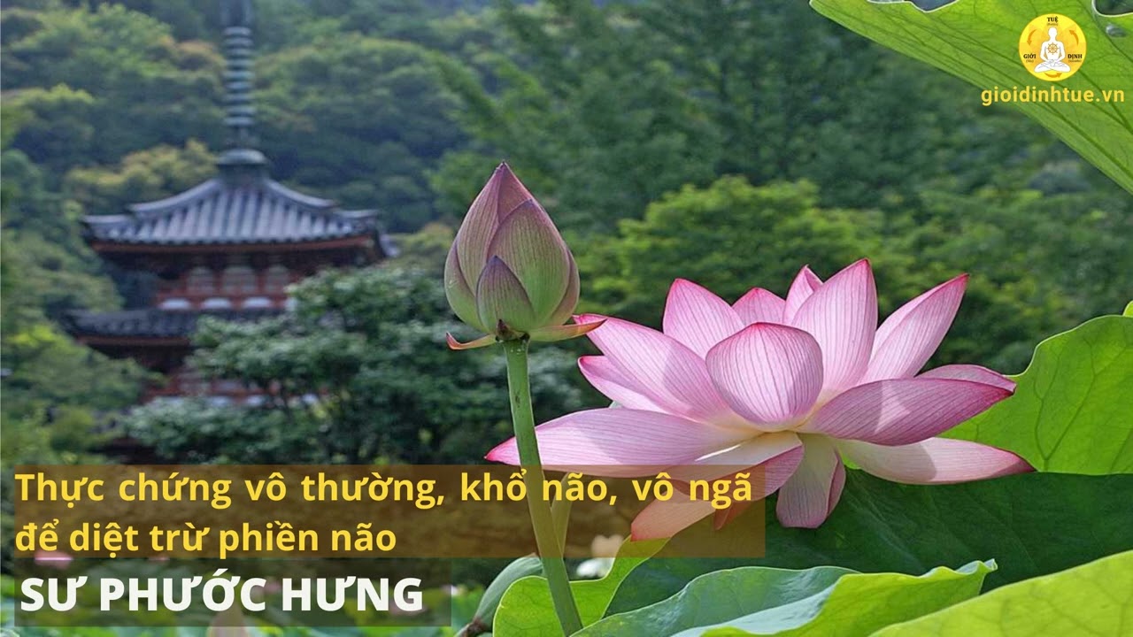 Thực chứng vô thường, khổ não, vô ngã để diệt trừ phiền não