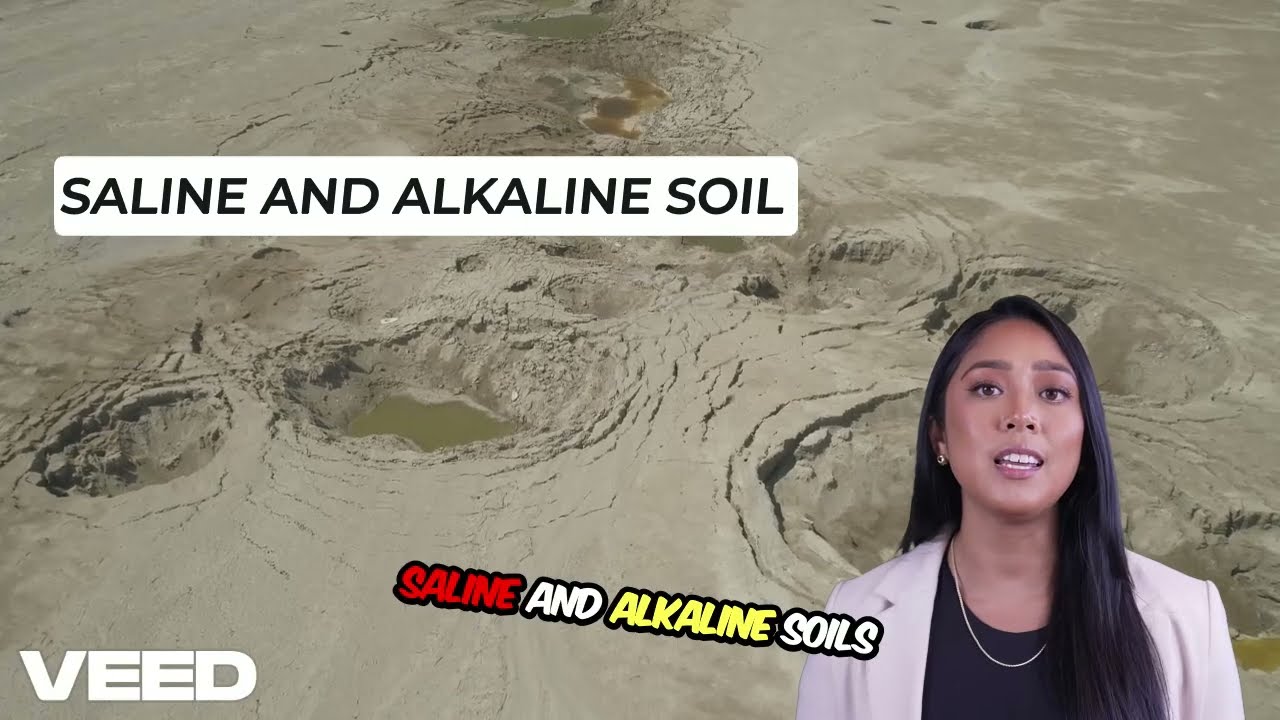 SALINE AND ALKALINE SOIL / AGRIAN /