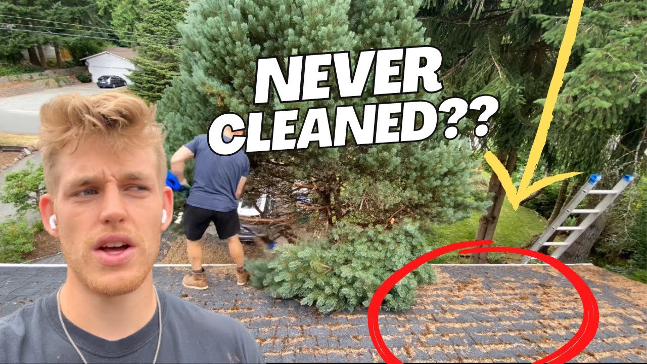 Roof has NEVER been Cleaned - Satisfying Roof Cleaning
