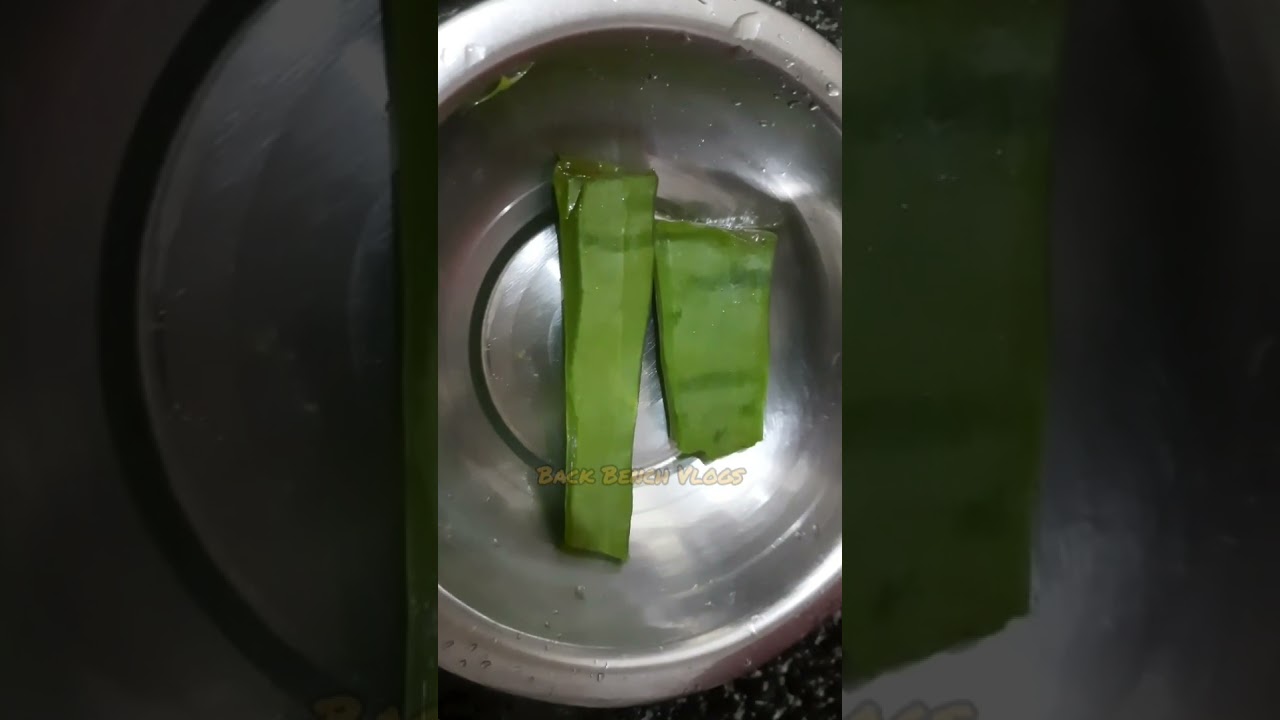 How to use aloe vera for hair in tamil?/ Aloe vera hair pack/  Aloe vera hair mask/ Back Bench Vlogs