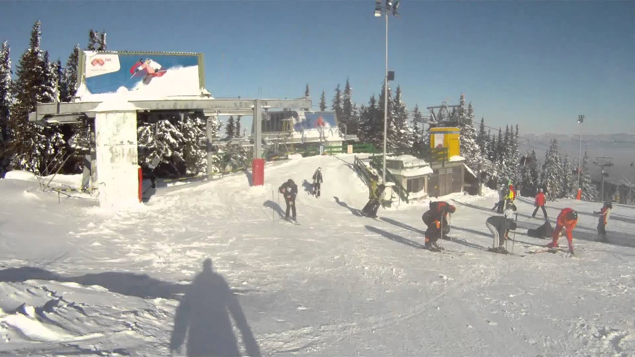 Vitosha Lale