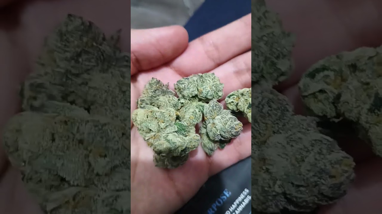 Flow Gardens Lemon Cherry Sherbet Thca Premium Flower[Thca]
