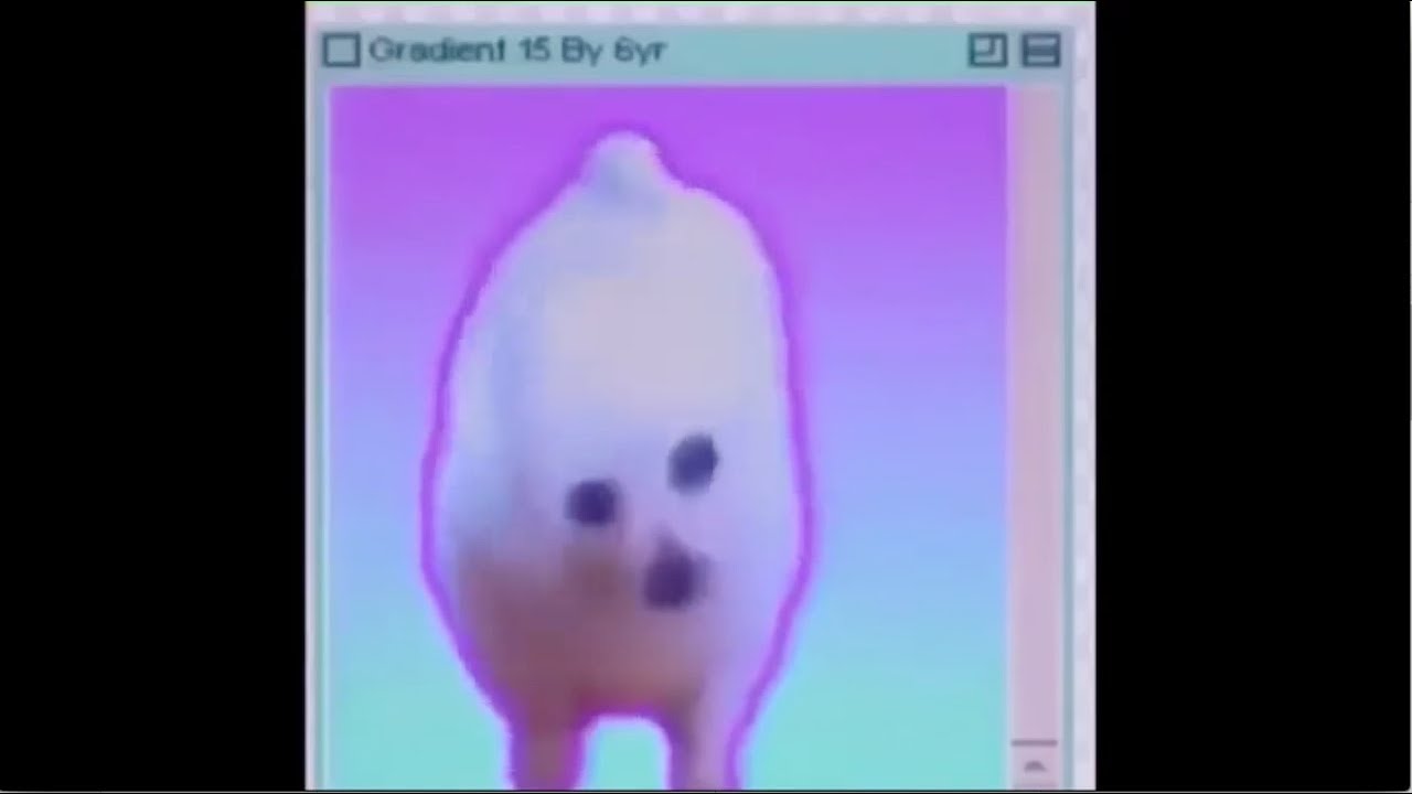 vines for when ur  insecure and know what for | rip vine&trade;