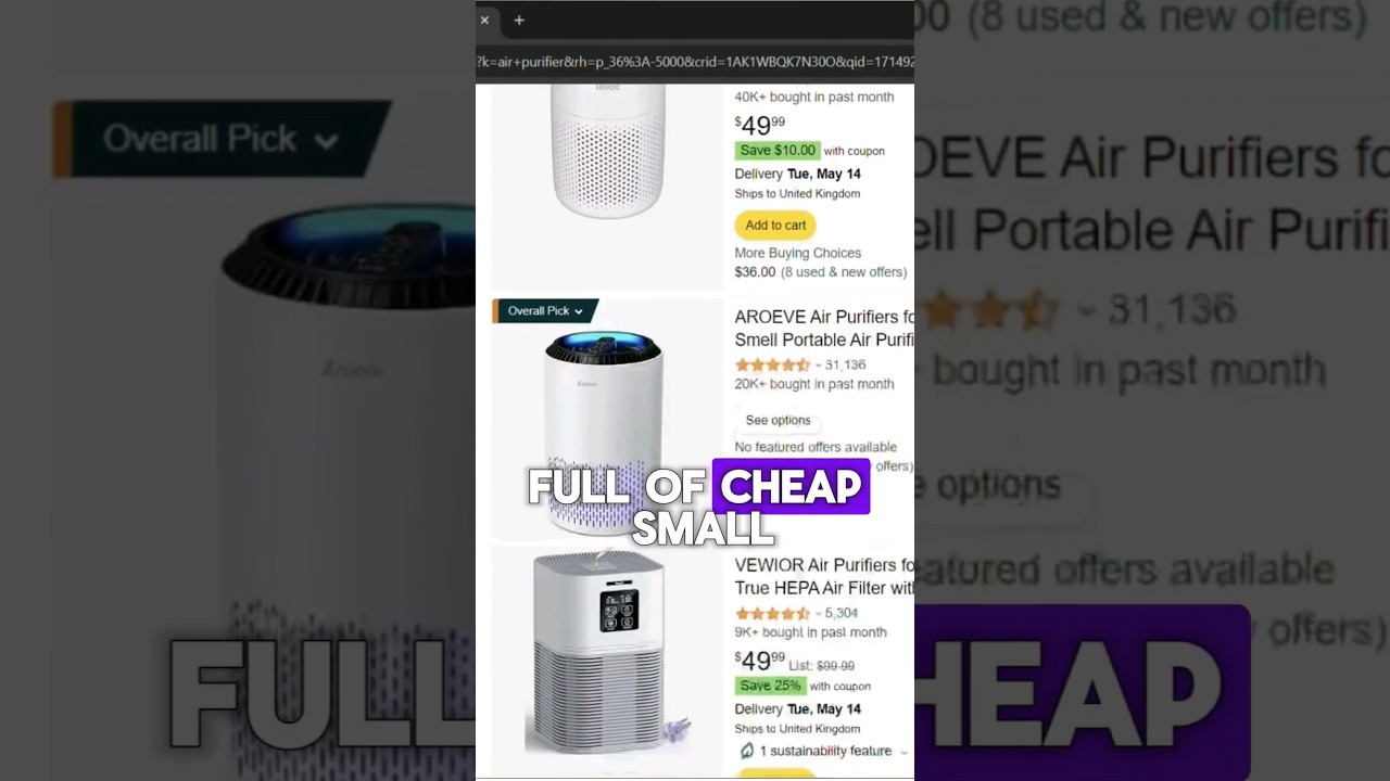 Save Your Money 💰 Don't Buy Cheap Amazon Units - These Are The Best Budget Air Purifiers Right Now