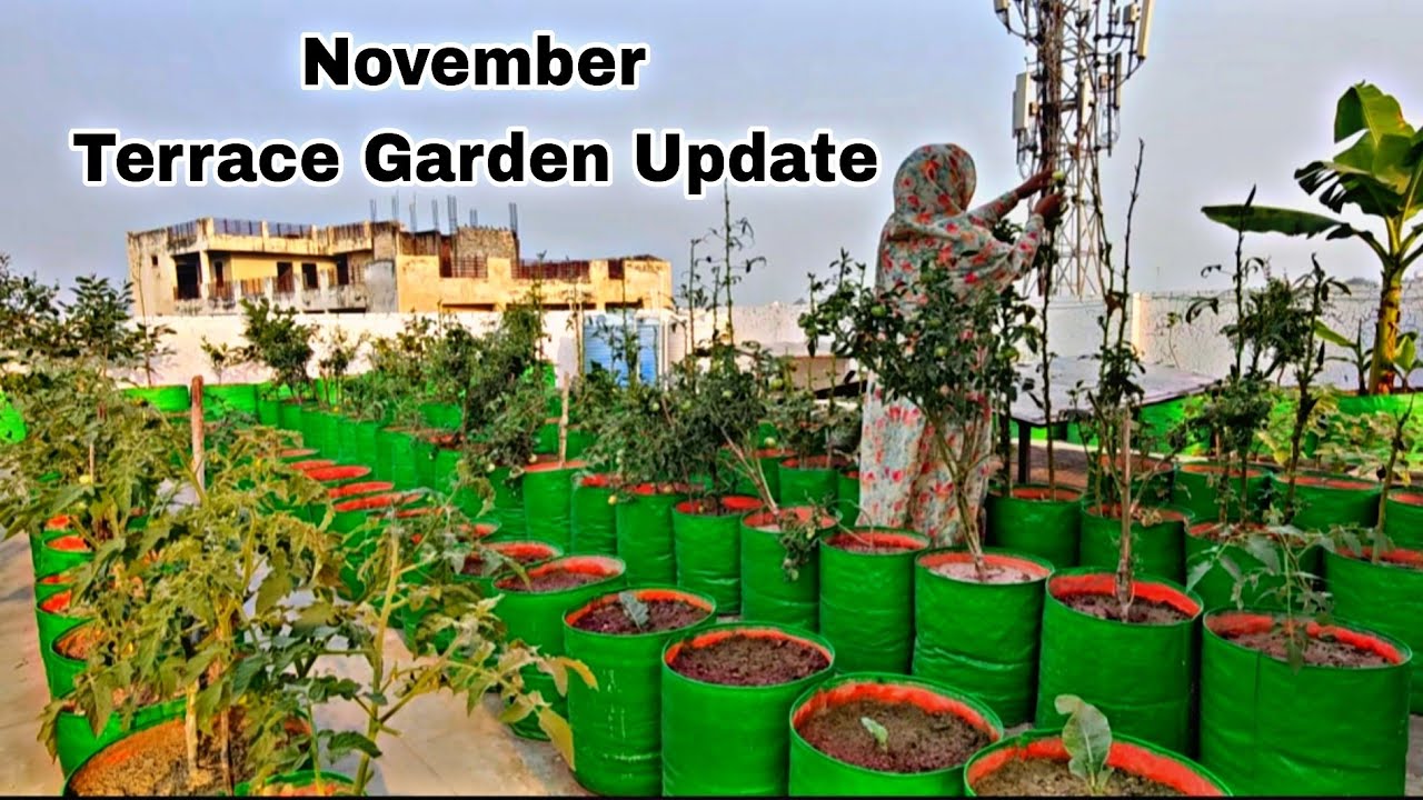 November K Maheene Me 