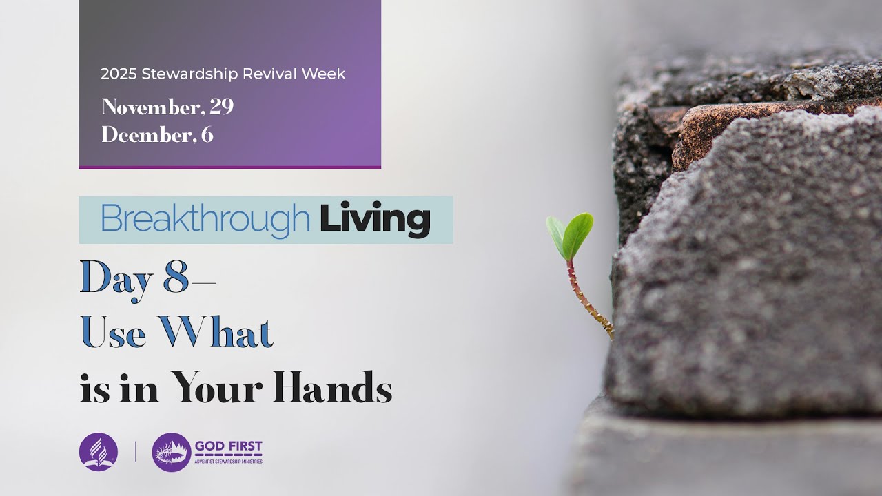 Day 8—Use What Is In Your Hands