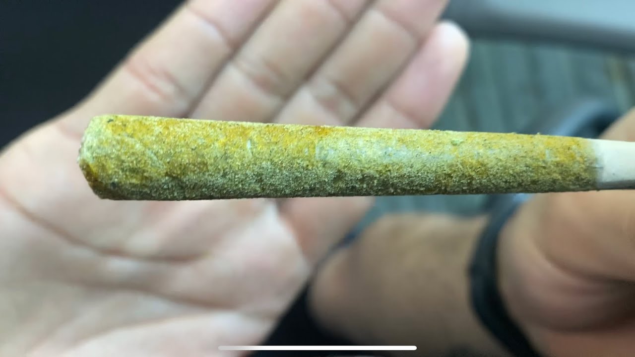 JOINT FILLED WITH HASH AND KIEF WEED HOTBOX(COVID-19)UPDATE
