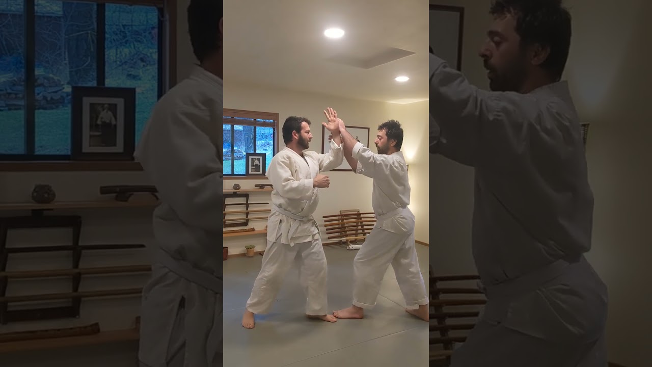4th Kyu Aikido test
