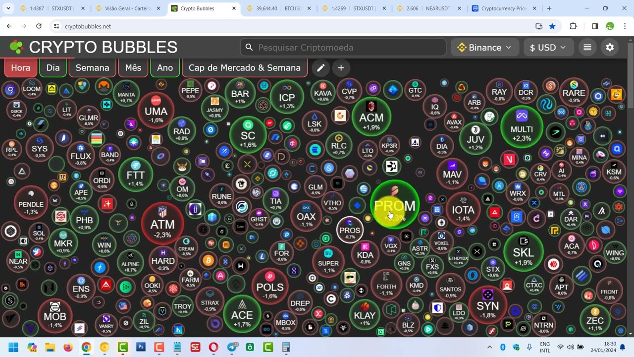 M&oacute;dulo 2   Aula 3   Cryptobubbles e inicio do trade   Curso Criptomoedas 2024 por  Rodrigo Tavares