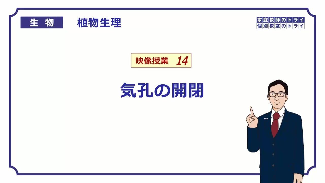 【高校生物】　植物生理14　気孔の開閉（１５分）