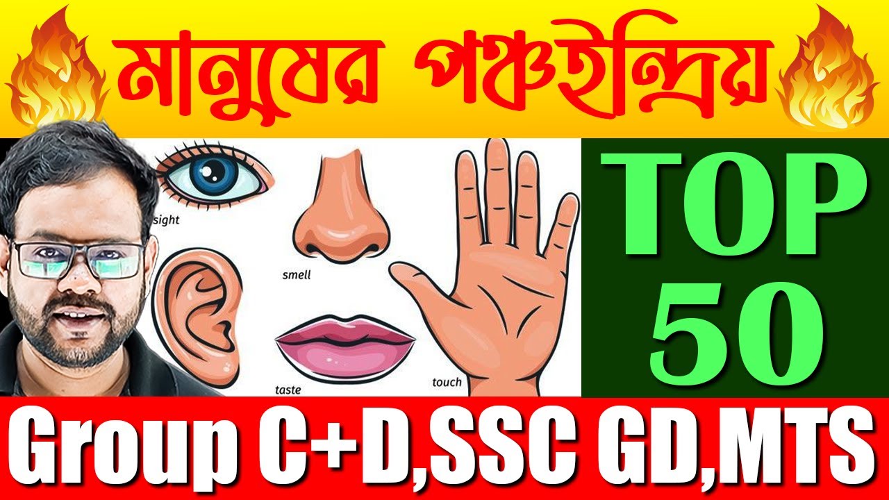 মানুষের পঞ্চ ইন্দ্রিয় | Science Top 50 Questions | Human Sensory Organs | Science for All Govt Exam
