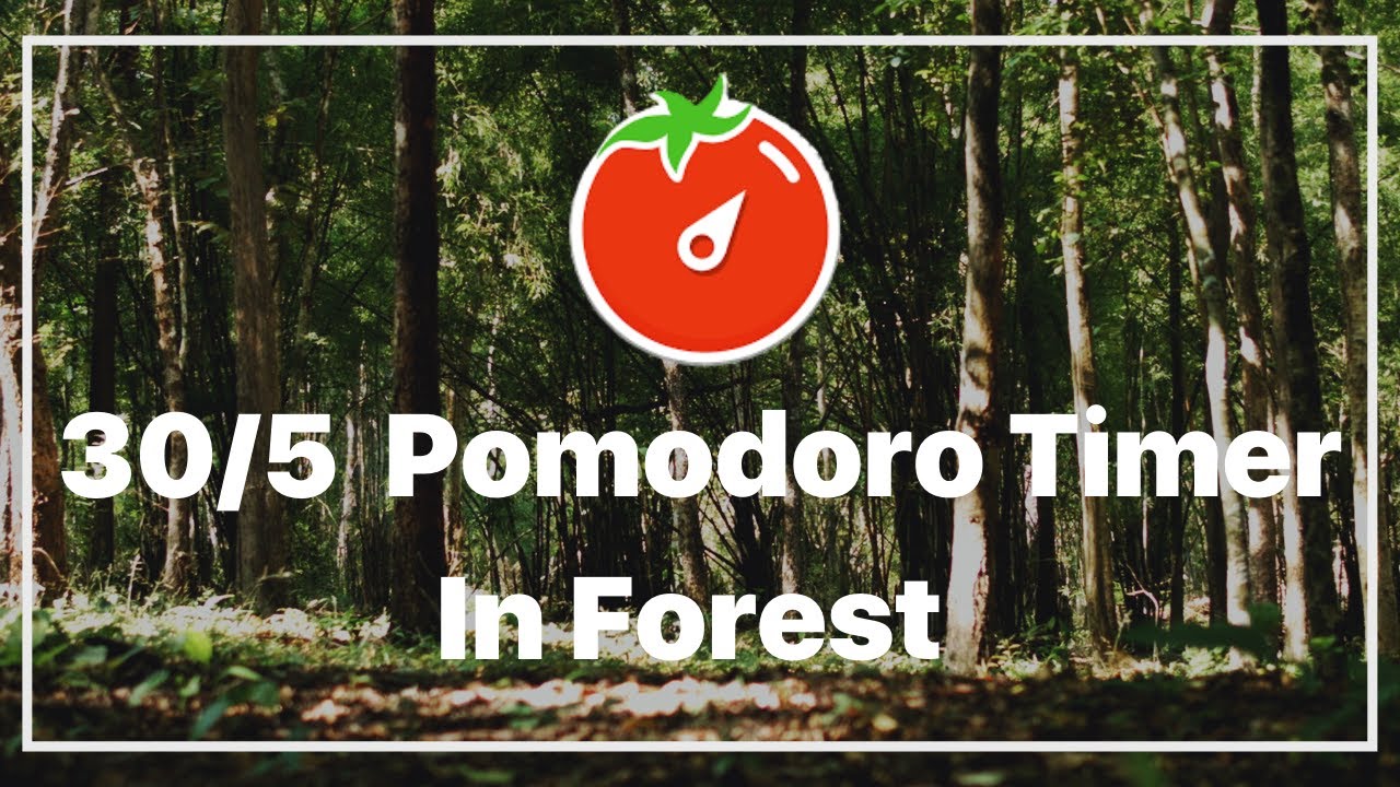 30/5 Pomodoro Timer | In Forest 🌳 | Ambience Nature Sounds