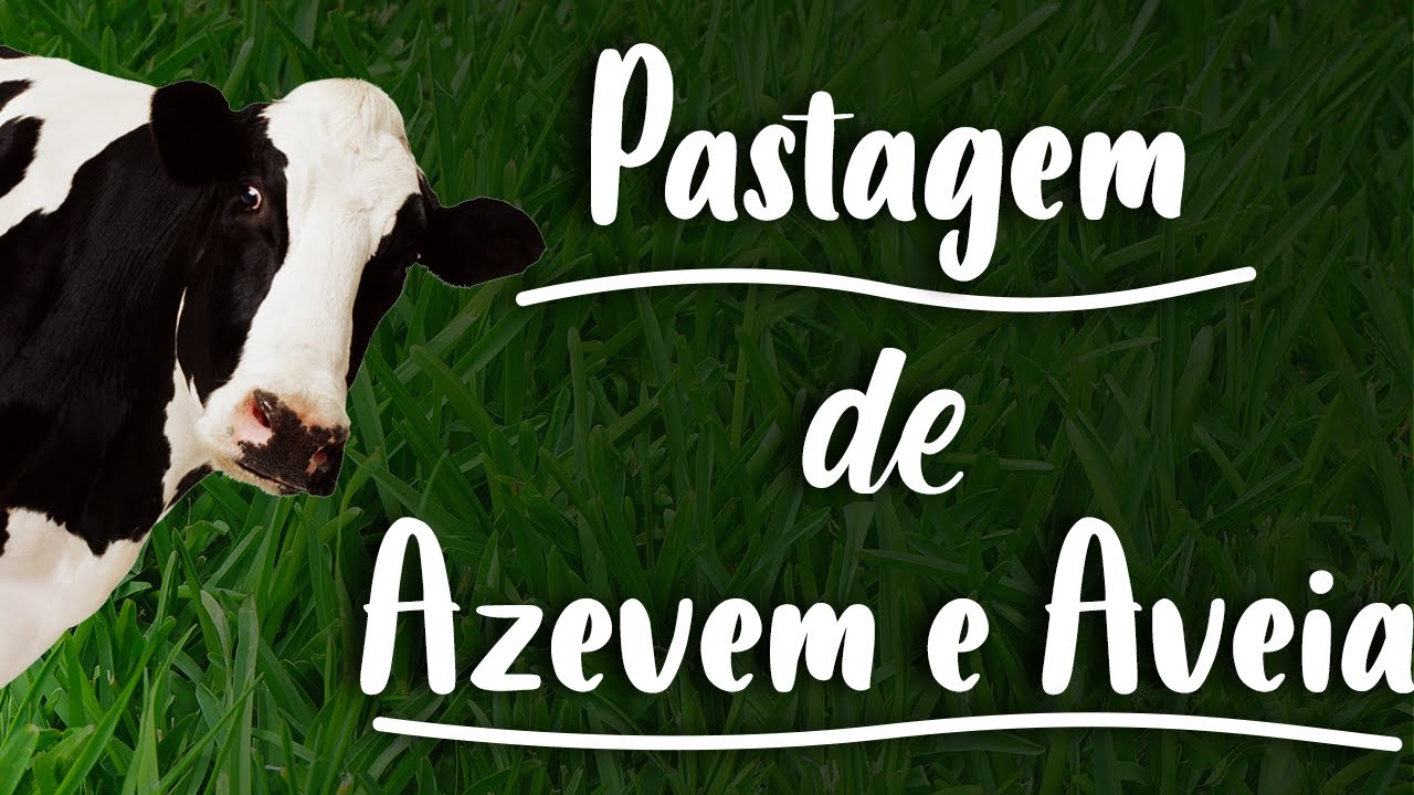 Pastagem de Inverno de Aveia e Azevem em Pequena Propriedade Parte 1
