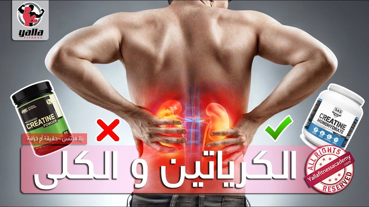 إنتبه | مكمل الكرياتين يسبب الفشل الكلوى
