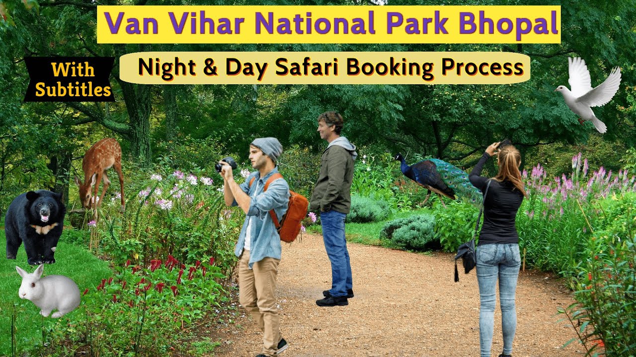 Van Vihar National Park Bhopal | Van Vihar Safari  | Night Safari | Van Vihar Bhopal