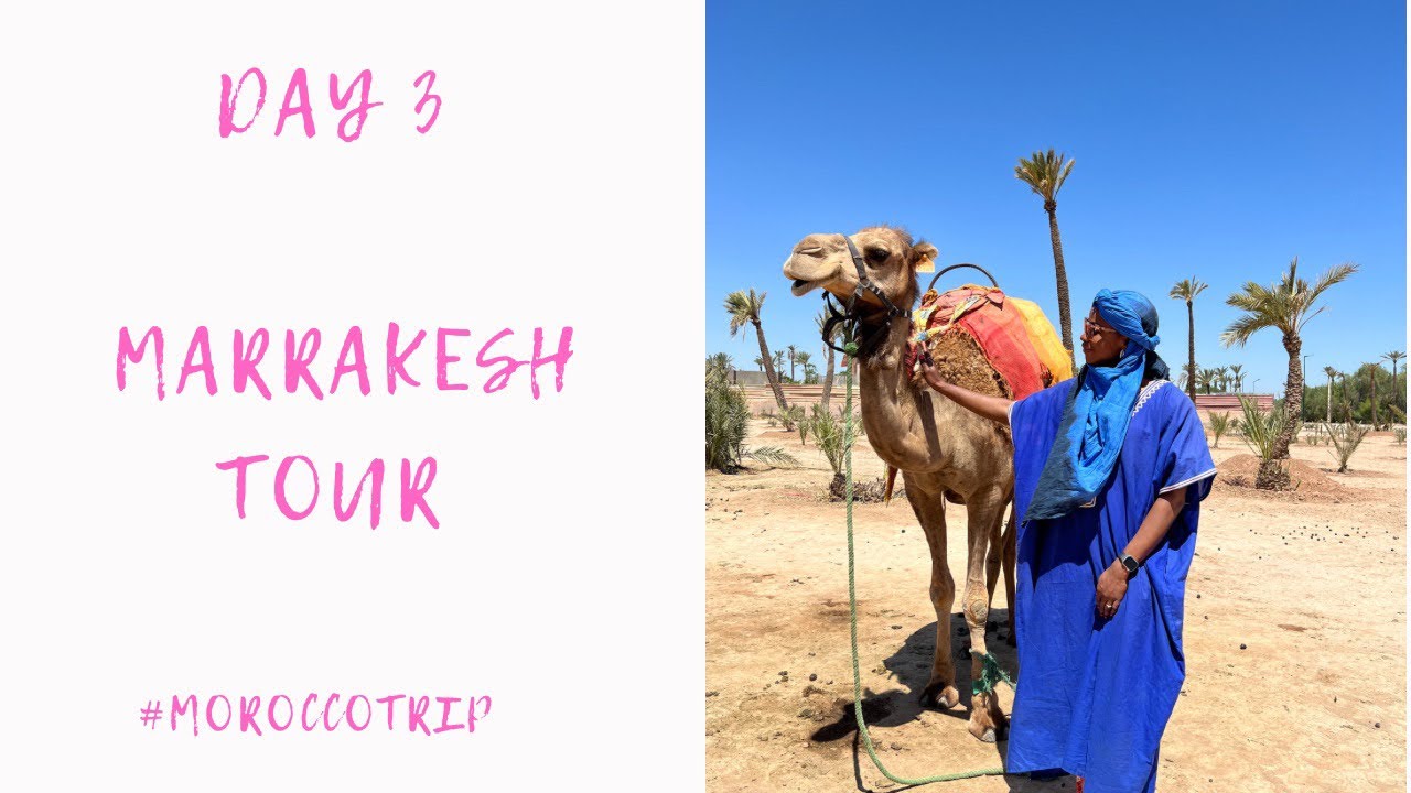 Camel Ride in Agafay Desert, Touring Bahia Palace, Local Shopping at Marrakesh Market