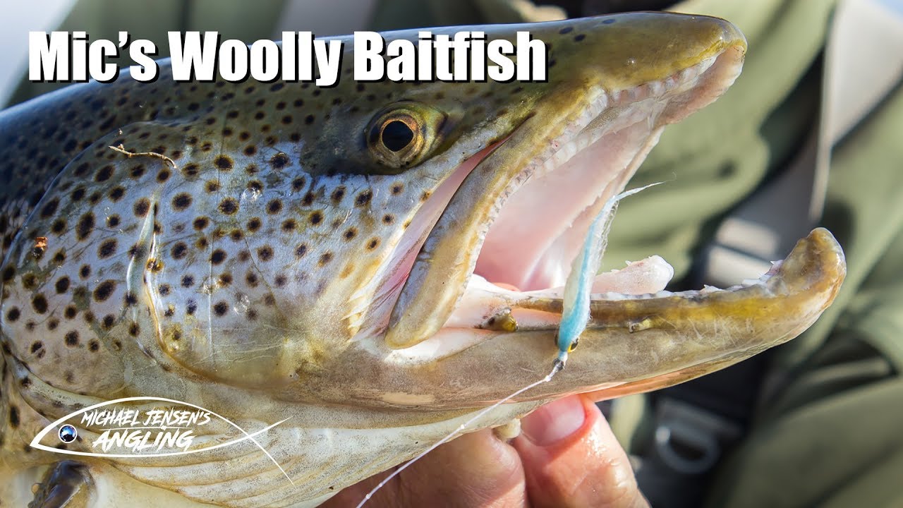 Mic's Woolly Baitfish - fly tying