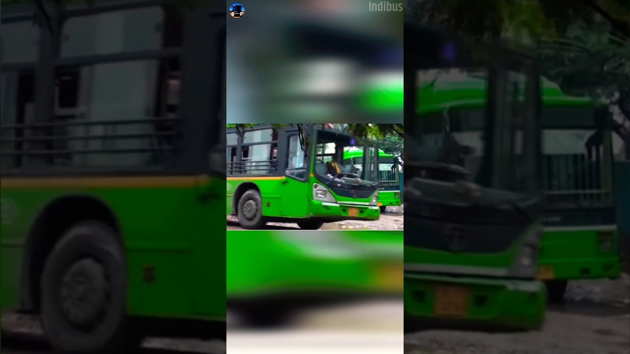 Delhi Transport Corporation 💚CNG💚 Bus. #shorts #dtcbus