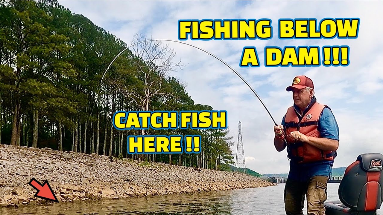 A TRUE Fishing Bait that Fish CAN’T RESIST !! (DEADLY)