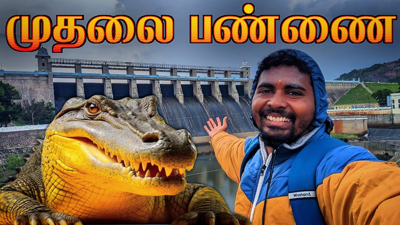 🔥அமராவதி அணை முதலை பன்ணை | AMARAVATHI DAM CROCODILE FARM | MUTHALAI PANNAI | ADVENTURE | K7