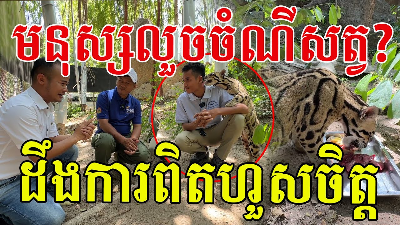 ដឹងការពិតហួសចិត្ត ចូលរួមជួយថែរក្សាសត្វព្រៃទាំងអស់គ្នា