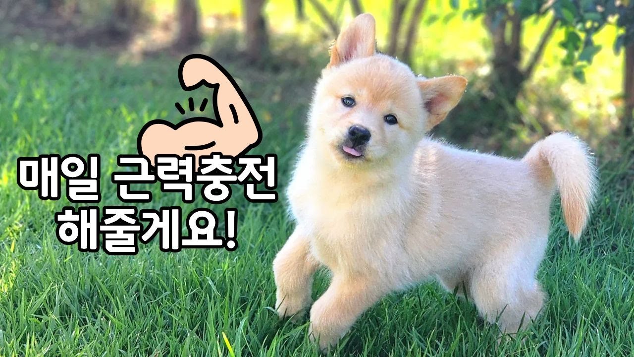 근수저를 꽉 물게 된 이절이